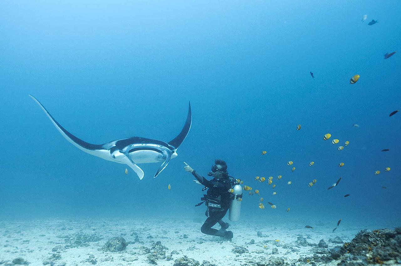 Blue Marlin Dive Komodo Labuan Bajo Eksteriør billede